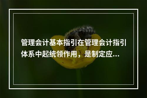 管理会计基本指引在管理会计指引体系中起统领作用，是制定应用指