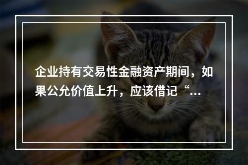 企业持有交易性金融资产期间，如果公允价值上升，应该借记“投资