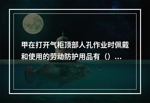 甲在打开气柜顶部人孔作业时佩戴和使用的劳动防护用品有（）。