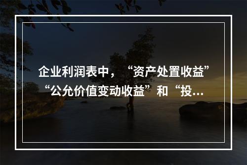 企业利润表中，“资产处置收益”“公允价值变动收益”和“投资收