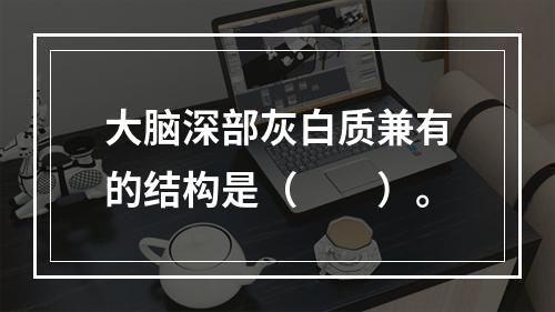 大脑深部灰白质兼有的结构是（　　）。