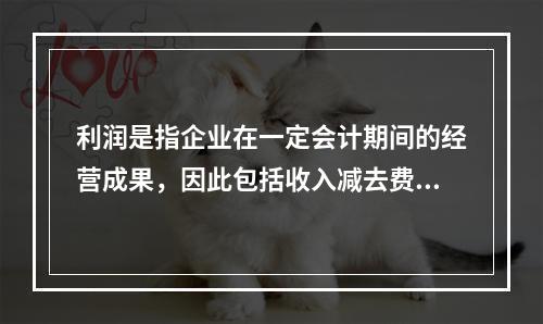 利润是指企业在一定会计期间的经营成果，因此包括收入减去费用后