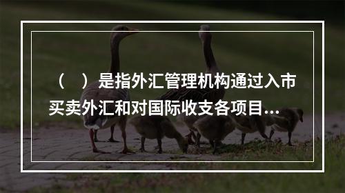 （　）是指外汇管理机构通过入市买卖外汇和对国际收支各项目的控