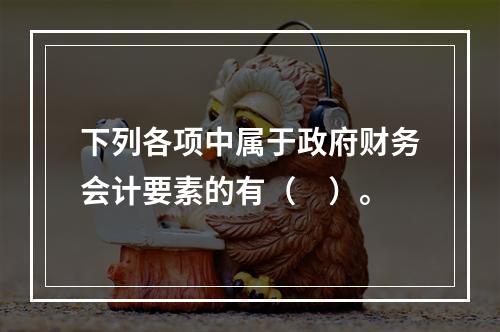 下列各项中属于政府财务会计要素的有（　）。