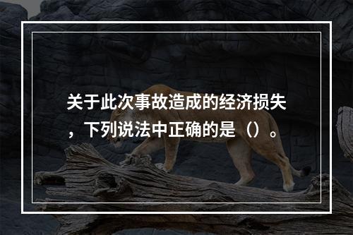 关于此次事故造成的经济损失，下列说法中正确的是（）。