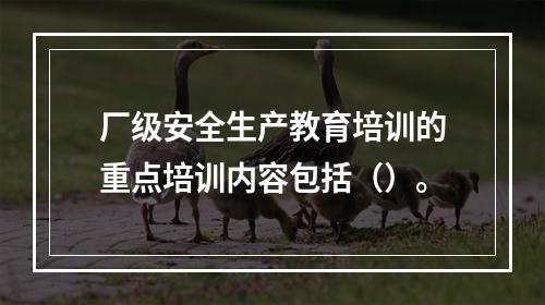 厂级安全生产教育培训的重点培训内容包括（）。