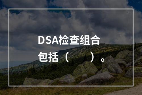 DSA检查组合包括（　　）。