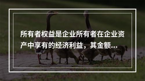 所有者权益是企业所有者在企业资产中享有的经济利益，其金额为企