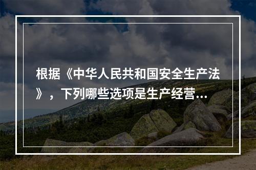 根据《中华人民共和国安全生产法》，下列哪些选项是生产经营单位