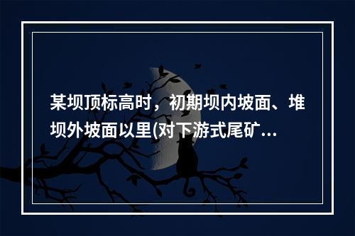 某坝顶标高时，初期坝内坡面、堆坝外坡面以里(对下游式尾矿筑坝