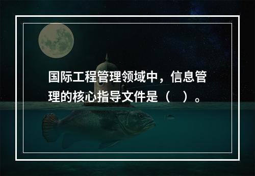 国际工程管理领域中，信息管理的核心指导文件是（　）。