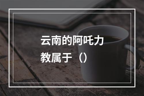 云南的阿吒力教属于（）