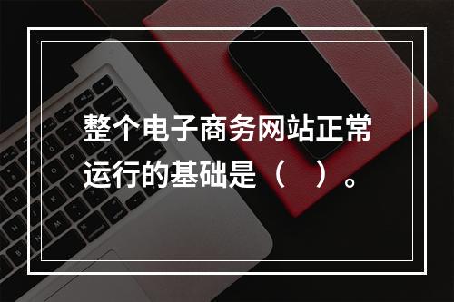 整个电子商务网站正常运行的基础是（　）。