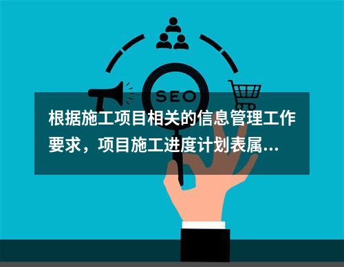 根据施工项目相关的信息管理工作要求，项目施工进度计划表属于（