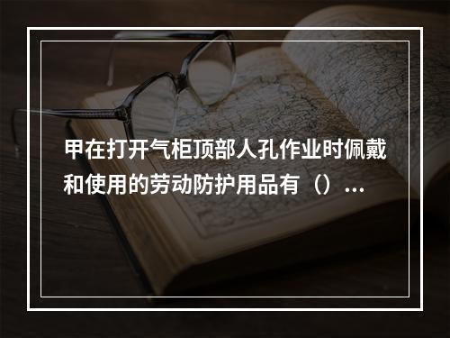 甲在打开气柜顶部人孔作业时佩戴和使用的劳动防护用品有（）。