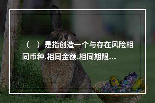 （　）是指创造一个与存在风险相同币种.相同金额.相同期限的资