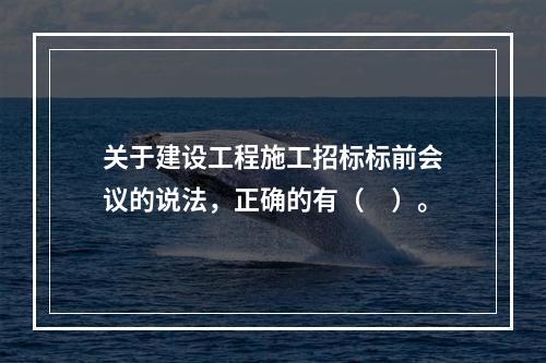 关于建设工程施工招标标前会议的说法，正确的有（　）。