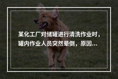 某化工厂对储罐进行清洗作业时，罐内作业人员突然晕倒，原因不明