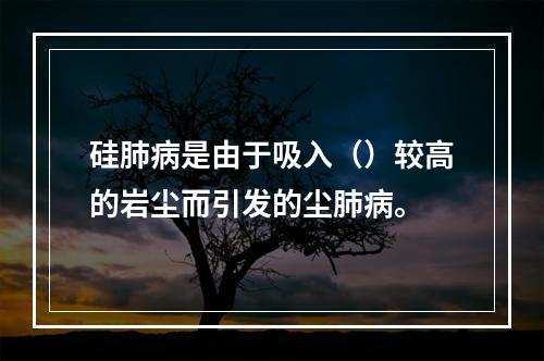 硅肺病是由于吸入（）较高的岩尘而引发的尘肺病。