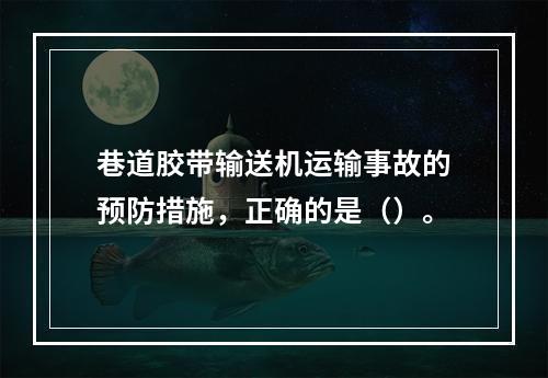 巷道胶带输送机运输事故的预防措施，正确的是（）。