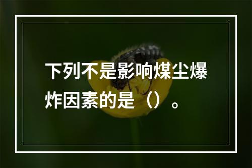 下列不是影响煤尘爆炸因素的是（）。