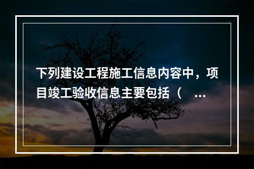 下列建设工程施工信息内容中，项目竣工验收信息主要包括（　）。