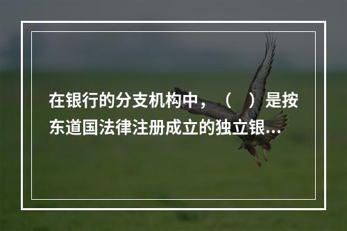 在银行的分支机构中，（　）是按东道国法律注册成立的独立银行，