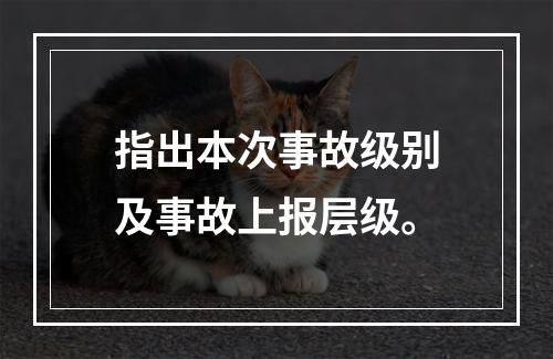 指出本次事故级别及事故上报层级。