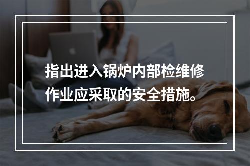 指出进入锅炉内部检维修作业应采取的安全措施。