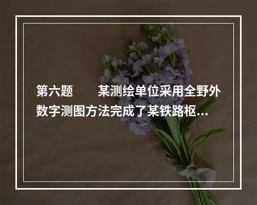 第六题　　某测绘单位采用全野外数字测图方法完成了某铁路枢纽