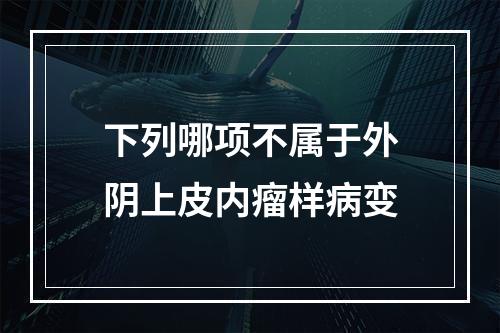 下列哪项不属于外阴上皮内瘤样病变