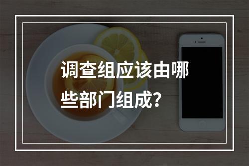 调查组应该由哪些部门组成？