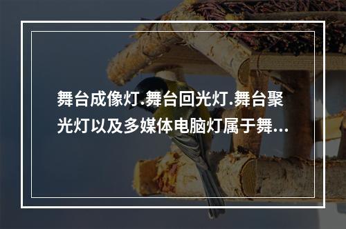 舞台成像灯.舞台回光灯.舞台聚光灯以及多媒体电脑灯属于舞台常