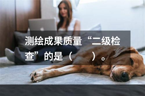 测绘成果质量“二级检查”的是（　　）。