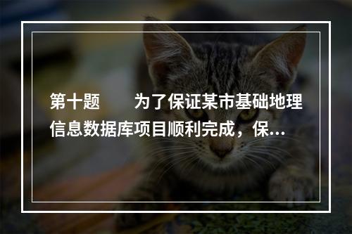 第十题　　为了保证某市基础地理信息数据库项目顺利完成，保证