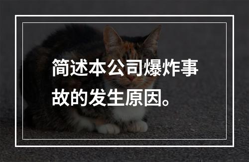 简述本公司爆炸事故的发生原因。