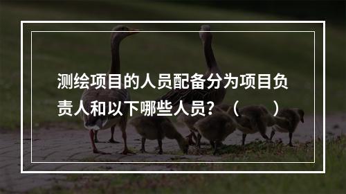 测绘项目的人员配备分为项目负责人和以下哪些人员？（　　）