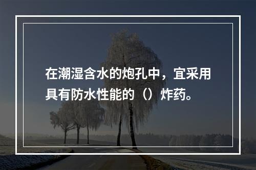 在潮湿含水的炮孔中，宜采用具有防水性能的（）炸药。