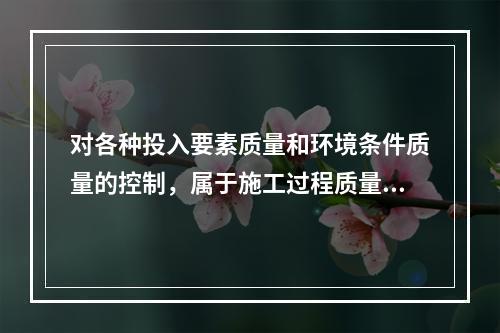 对各种投入要素质量和环境条件质量的控制，属于施工过程质量控制