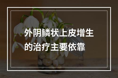 外阴鳞状上皮增生的治疗主要依靠