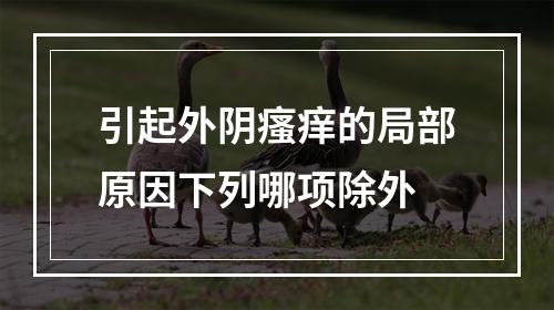 引起外阴瘙痒的局部原因下列哪项除外