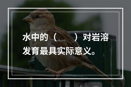 水中的（　　）对岩溶发育最具实际意义。