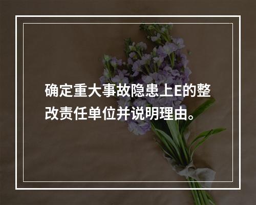 确定重大事故隐患上E的整改责任单位并说明理由。