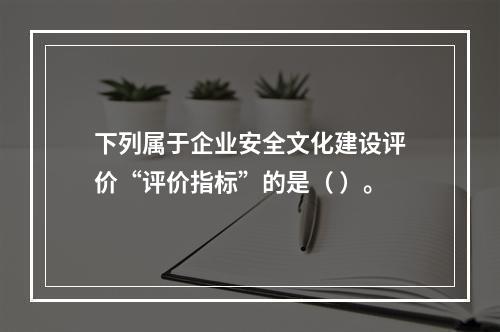 下列属于企业安全文化建设评价“评价指标”的是（	）。