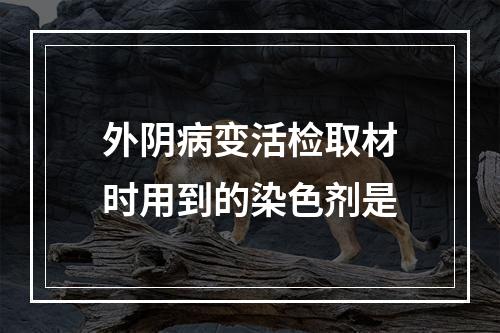 外阴病变活检取材时用到的染色剂是