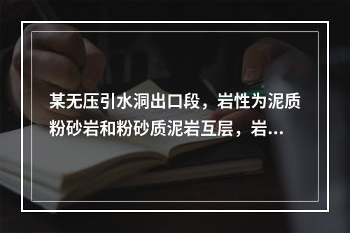 某无压引水洞出口段，岩性为泥质粉砂岩和粉砂质泥岩互层，岩石