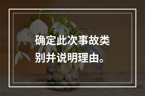 确定此次事故类别并说明理由。