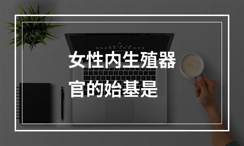 女性内生殖器官的始基是