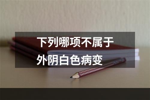 下列哪项不属于外阴白色病变