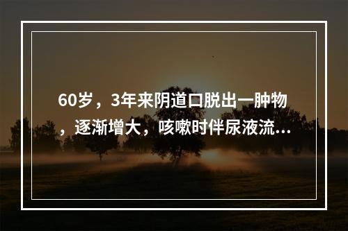 60岁，3年来阴道口脱出一肿物，逐渐增大，咳嗽时伴尿液流出。